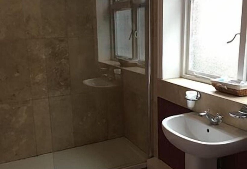 Отель The Black Swan