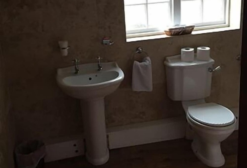 Отель The Black Swan