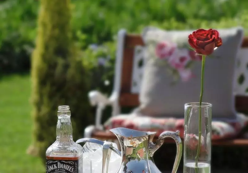 هتل Thylitshia Villa Country Guest House