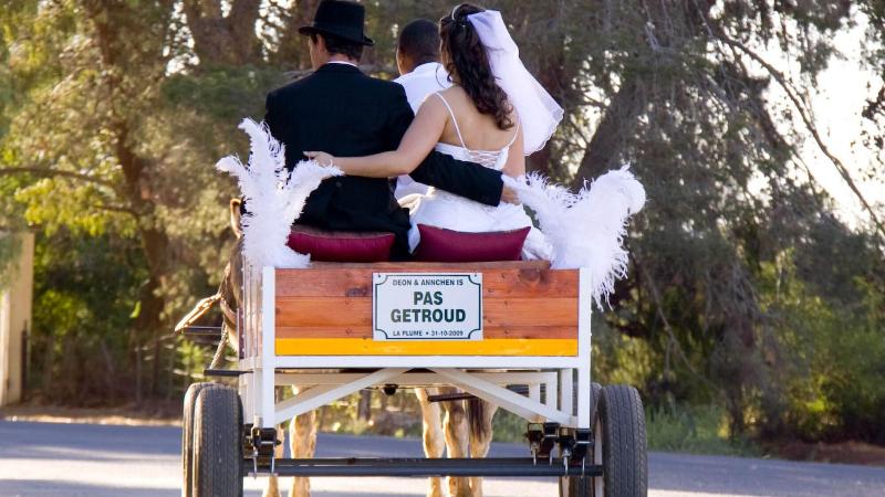 ホテル Thylitshia Villa Country Guest House