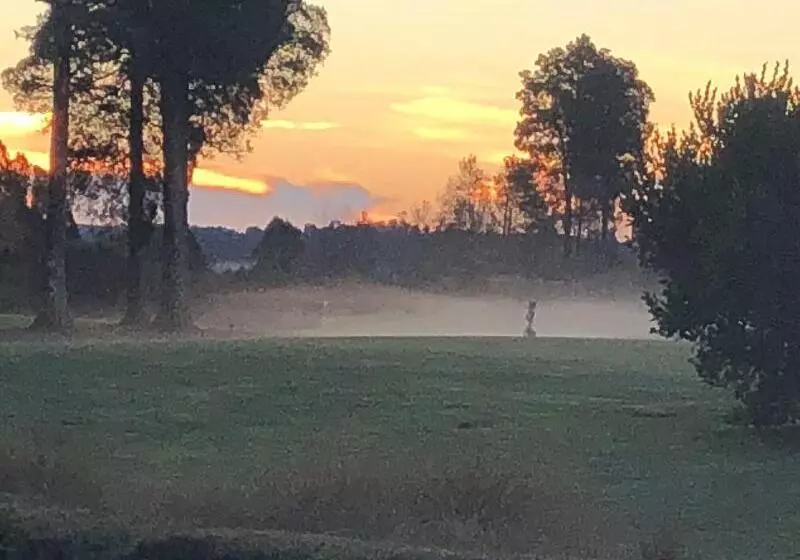 Aamiaismajoitus (B&B) Lake Brunner Longhouse