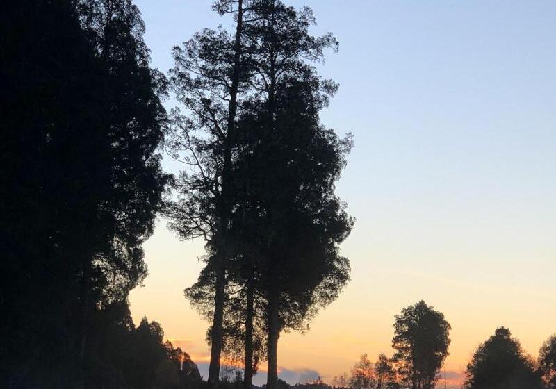 צימר Lake Brunner Longhouse