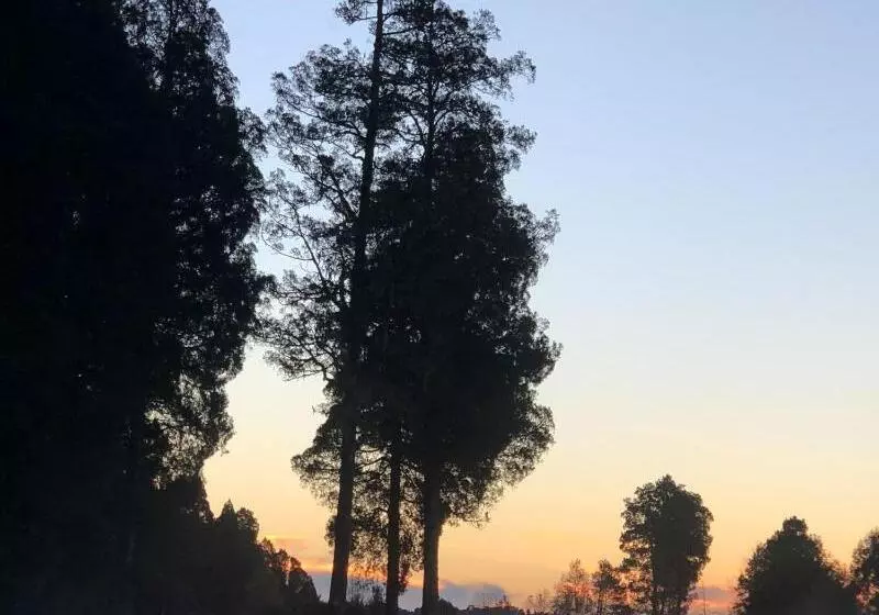 Aamiaismajoitus (B&B) Lake Brunner Longhouse