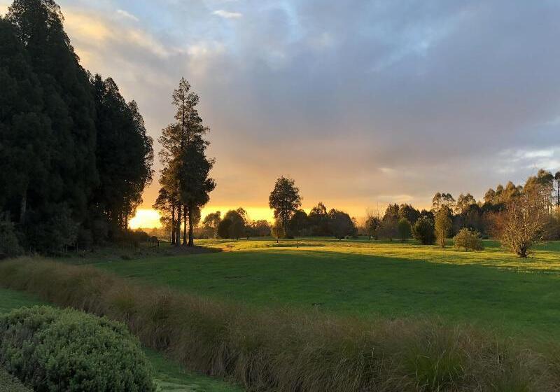 צימר Lake Brunner Longhouse