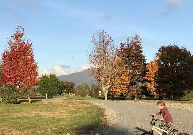 Aamiaismajoitus (B&B) Lake Brunner Longhouse