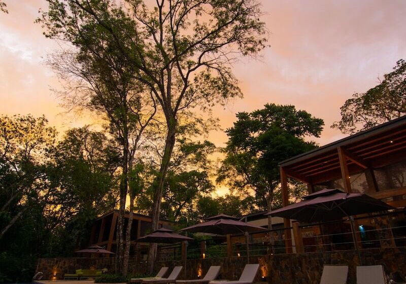 فندق Selvaje Lodge Iguazu