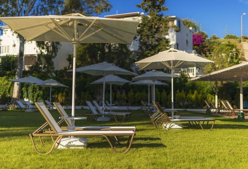 Liv Hotel By Bellazure