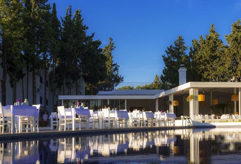 Liv Hotel By Bellazure