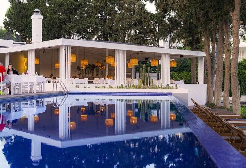 Liv Hotel By Bellazure