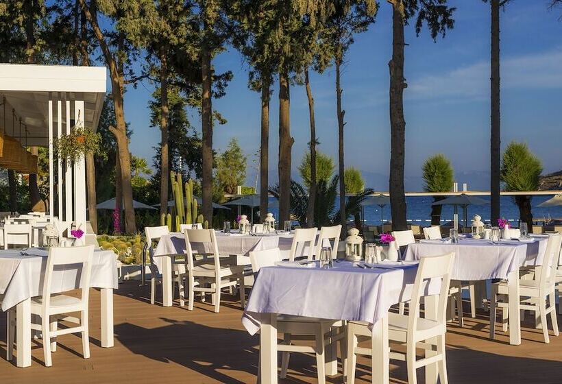 Liv Hotel By Bellazure