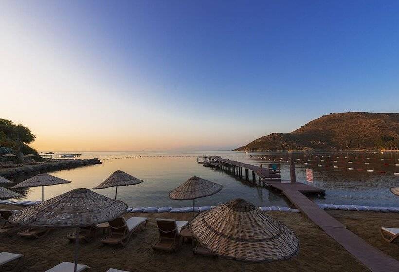 Liv Hotel By Bellazure