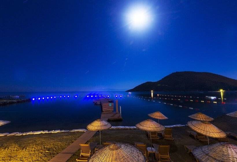 Liv Hotel By Bellazure