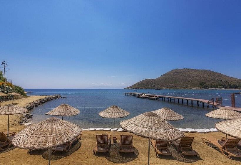 Liv Hotel By Bellazure