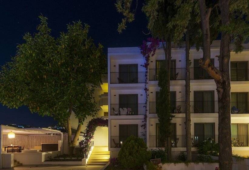 Liv Hotel By Bellazure