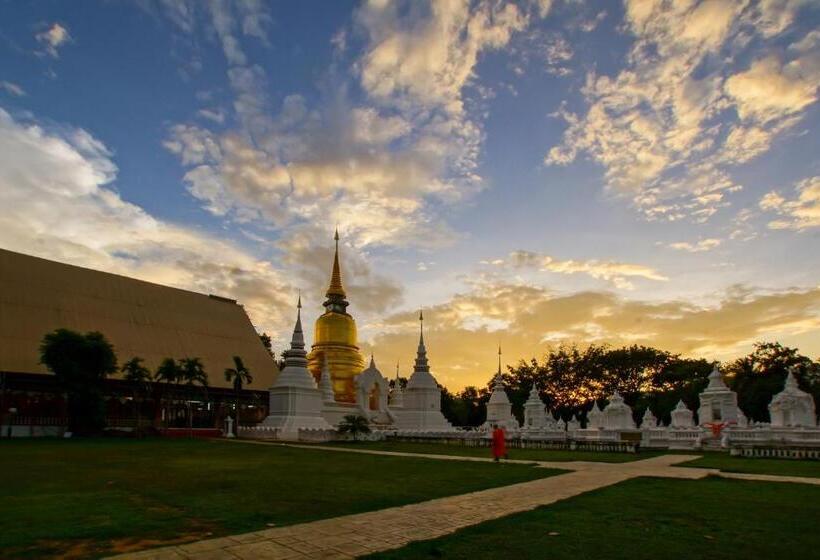 Отель Chiangmai Tree Hostel