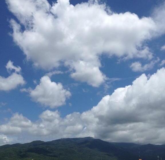 Отель Chiangmai Tree Hostel