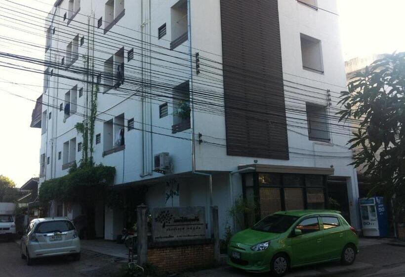 Отель Chiangmai Tree Hostel