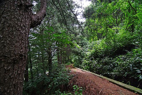 Gapyeong Ice Valley Pension