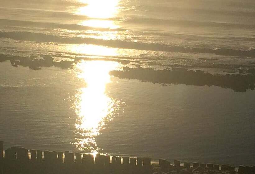 ホテル Mango Beach