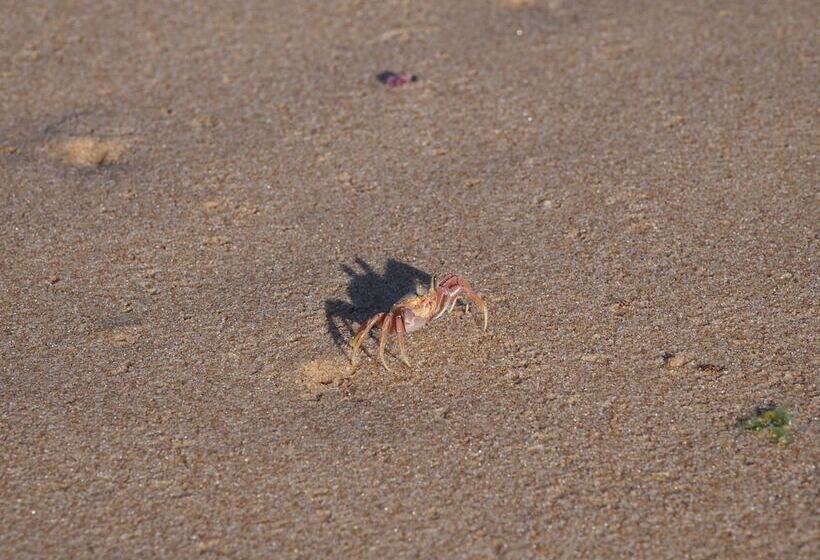 ホテル Mango Beach