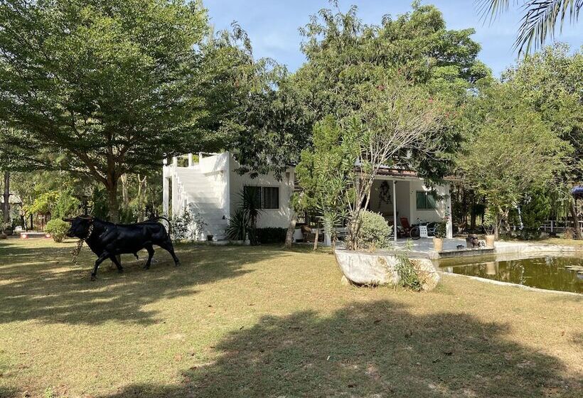 هتل Paramer Resort Suanphung