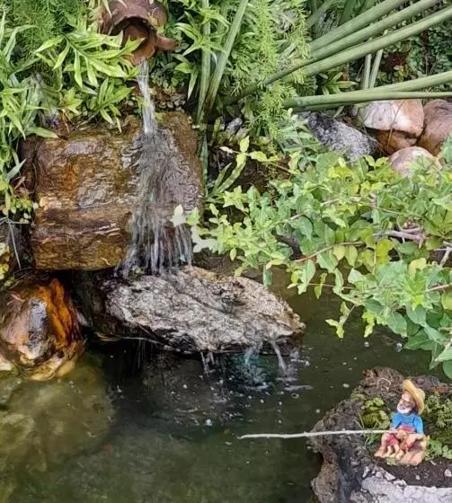 Hotelli Pousada Dos Cajueiros