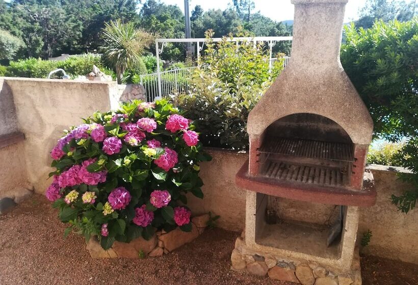 בית מלון כפרי Residence Marina Di A Testa