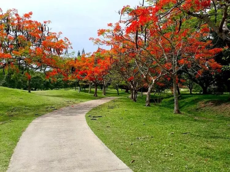 Hotelli The Royal Chiang Mai Golf Resort