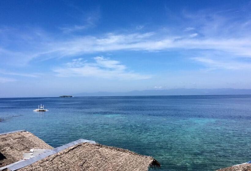 Neptune Diving Resort Moalboal