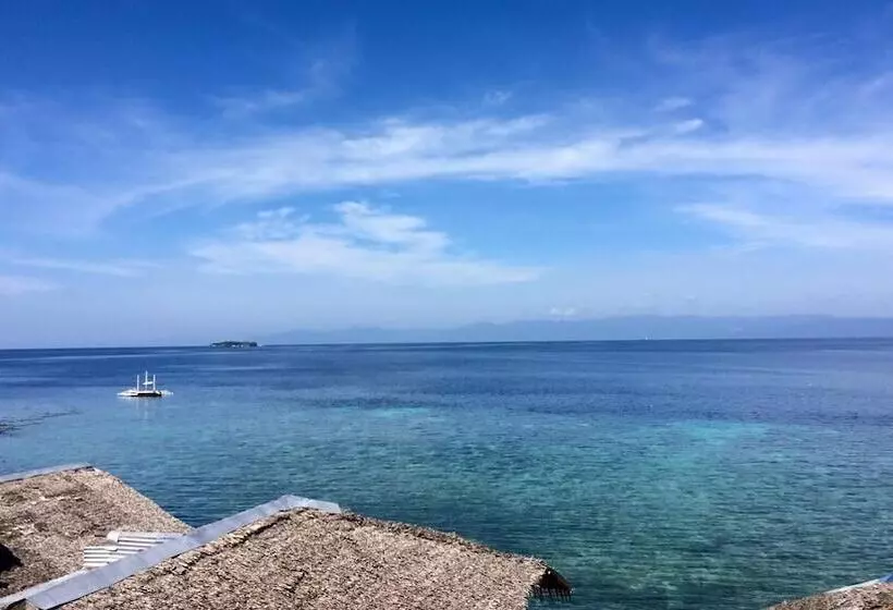 Neptune Diving Resort Moalboal