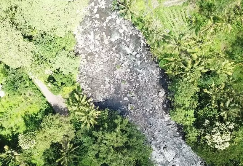 ペンション Griya Valud