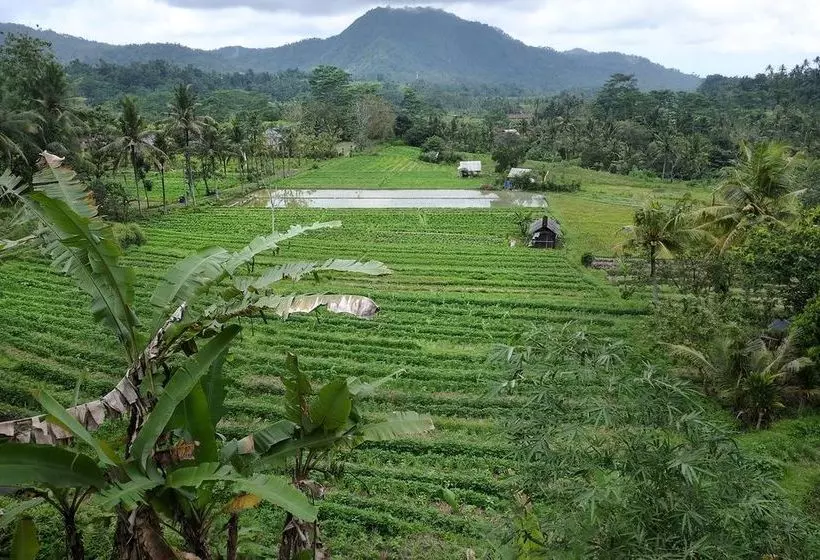 ペンション Griya Valud