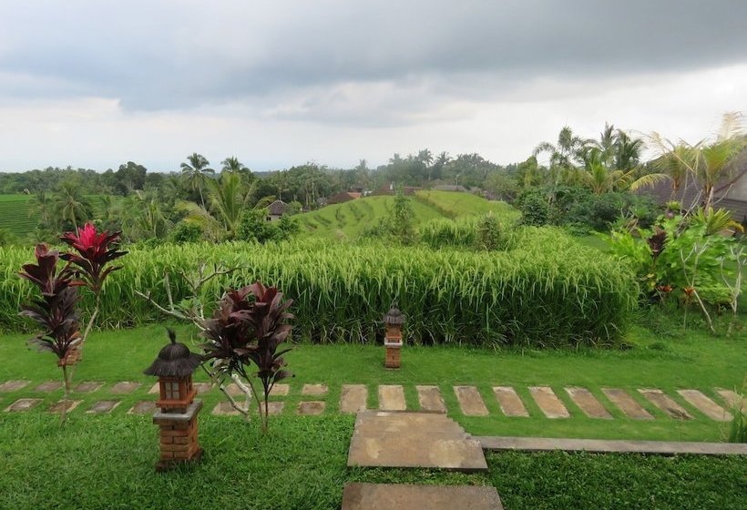 بنسيون Rumah Dusun