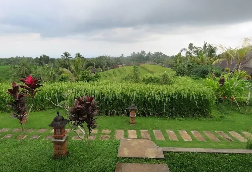 ペンション Rumah Dusun