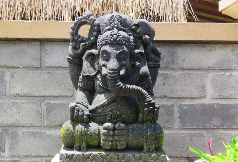 بنسيون Rumah Dusun