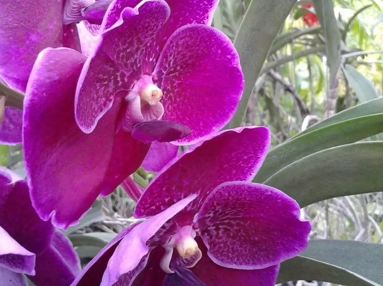 ペンション Yod Sungwan House Resort Style