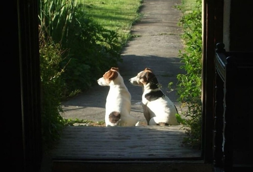 住宿加早餐  Lower Severalls Farmhouse