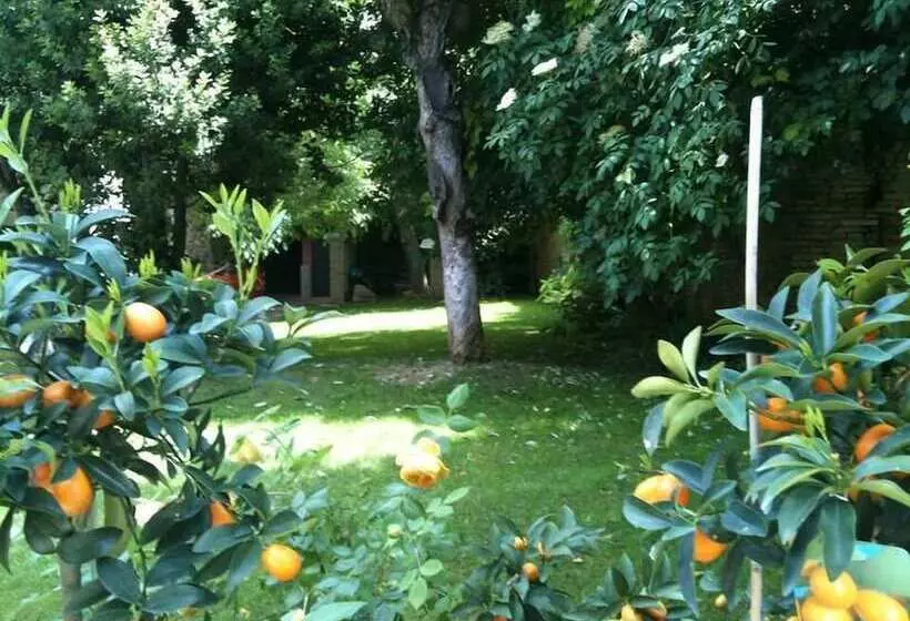 تختخواب و صبحانه Palazzo Romani Adami