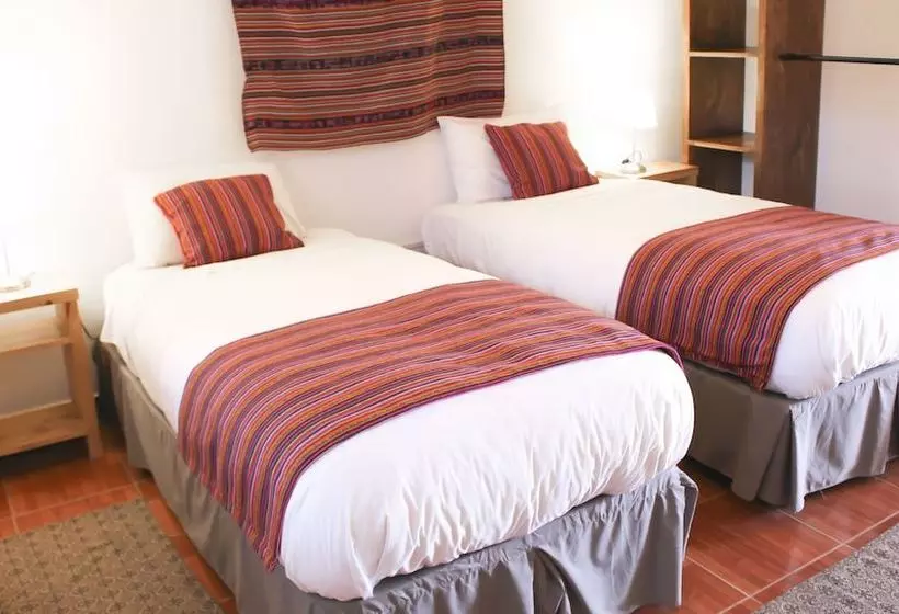 ホテル Atacama Budget Bed & Tours
