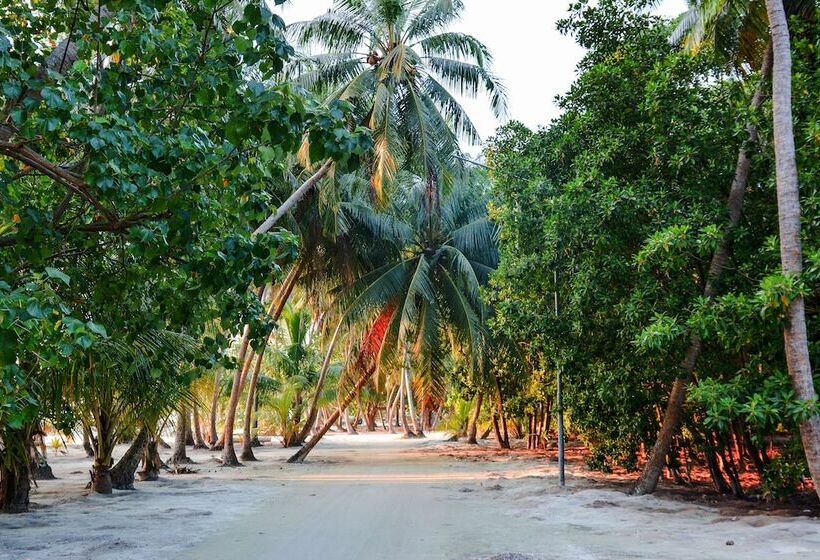 هتل Maldives Seashine Guesthouse
