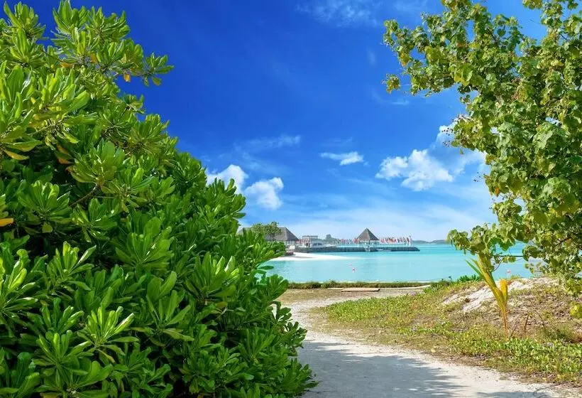 هتل Maldives Seashine Guesthouse