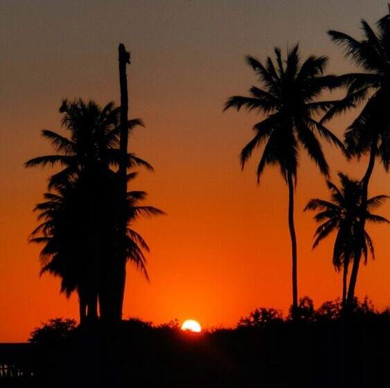 ホテル Pousada Mar De Estrelas