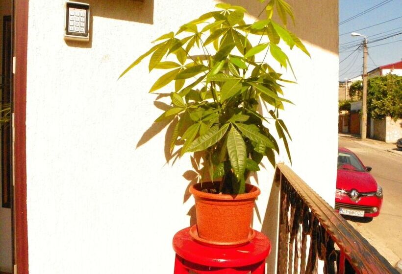 酒店 Adrys Boutique Villa