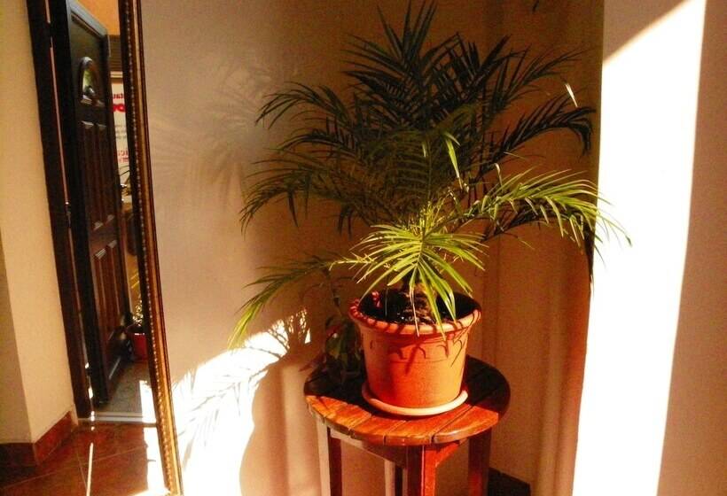 酒店 Adrys Boutique Villa