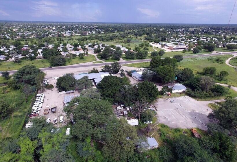 Kololo Bed And Breakfast