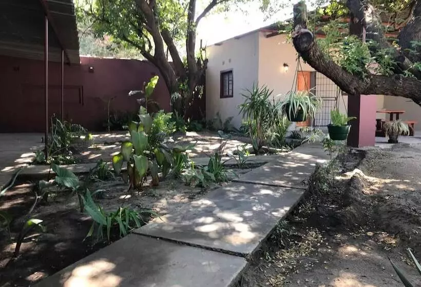 Kololo Bed And Breakfast