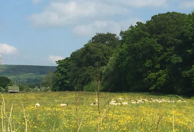 Hotel Shellow Lane Lodges