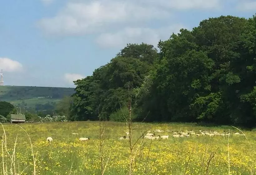 Hotel Shellow Lane Lodges