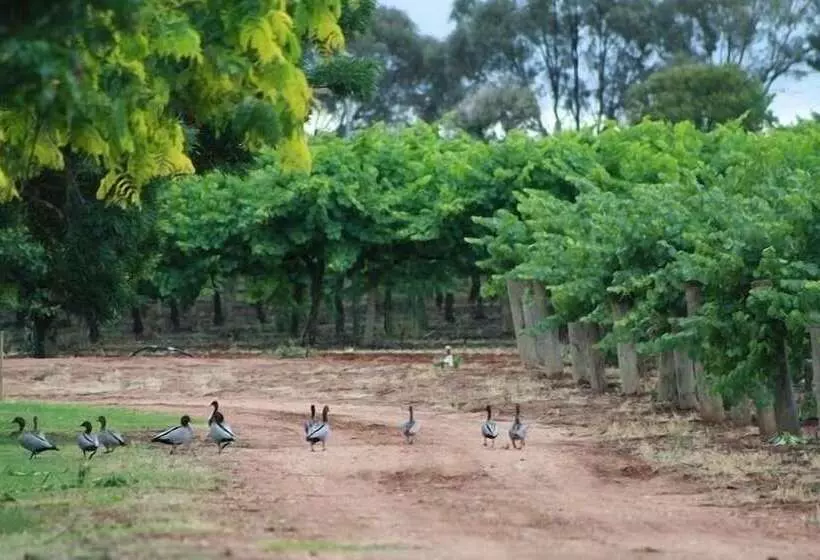 Mundic Waterfront Cottages