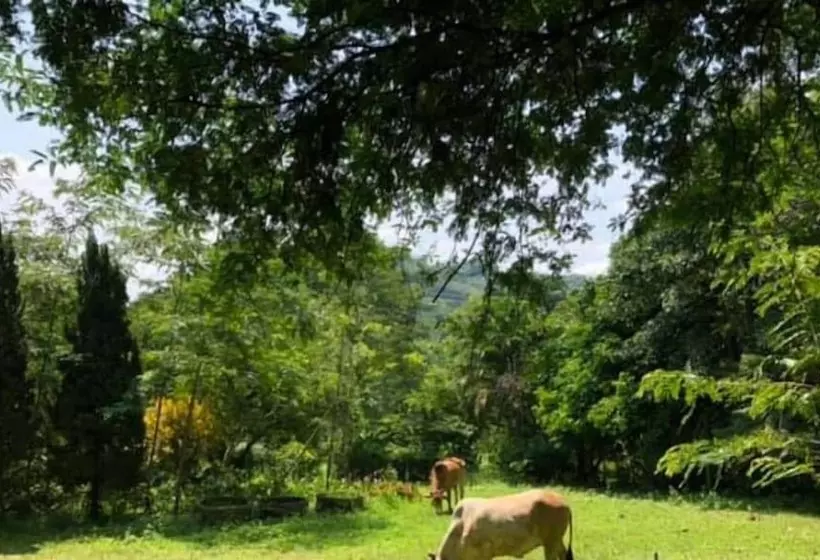 Majatalo Aum Hum Homestay